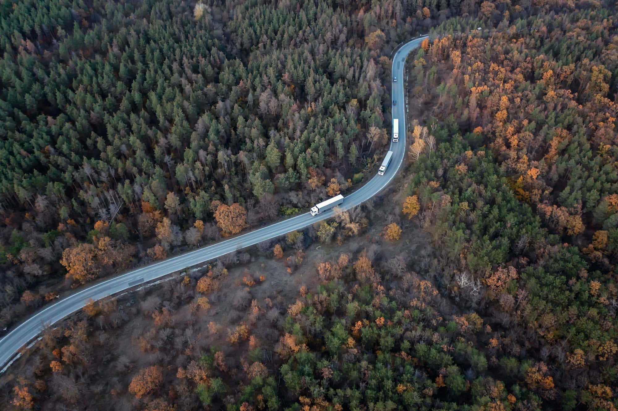Autumn forest with a curved road